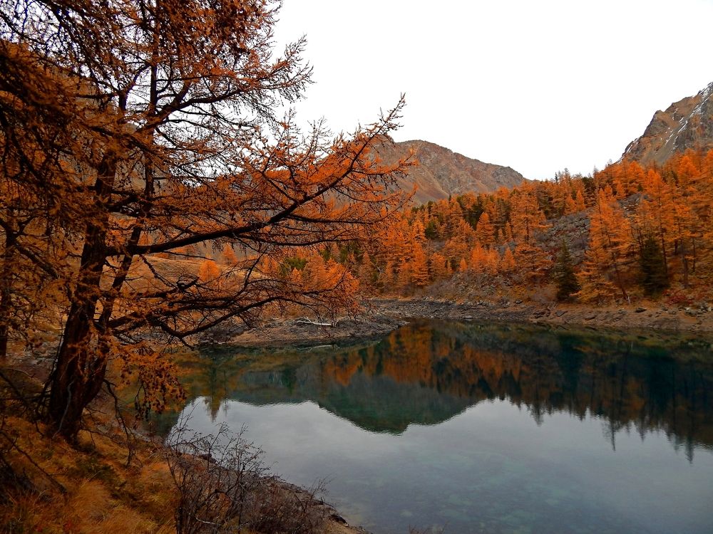 Photograph by Анастасия