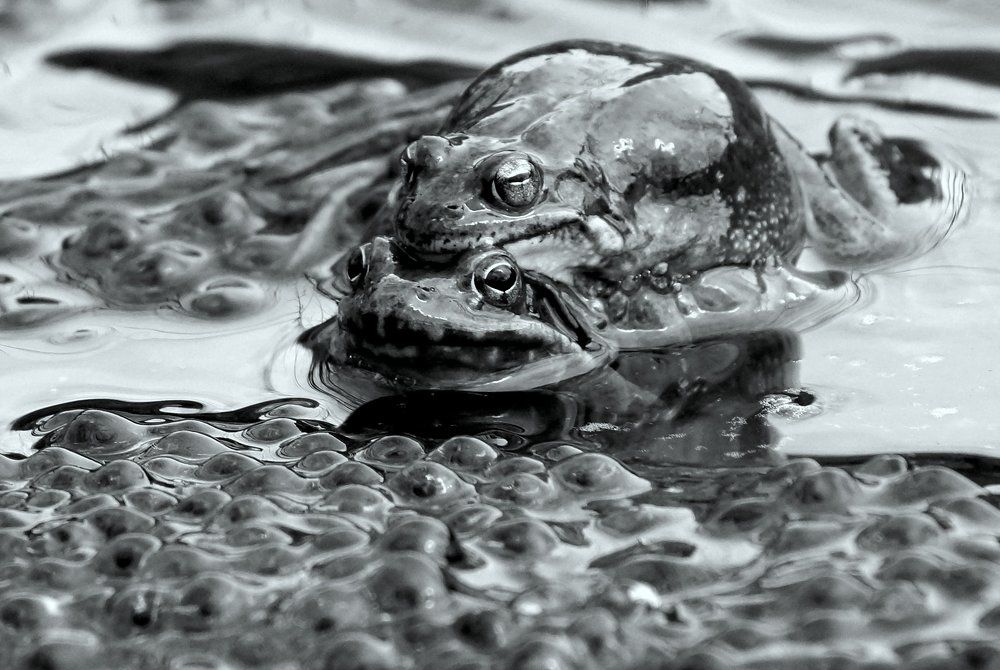 Photograph by Виктор Игнатенко.