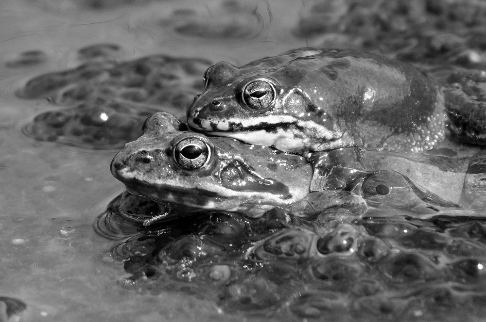 Photograph by Виктор Игнатенко.