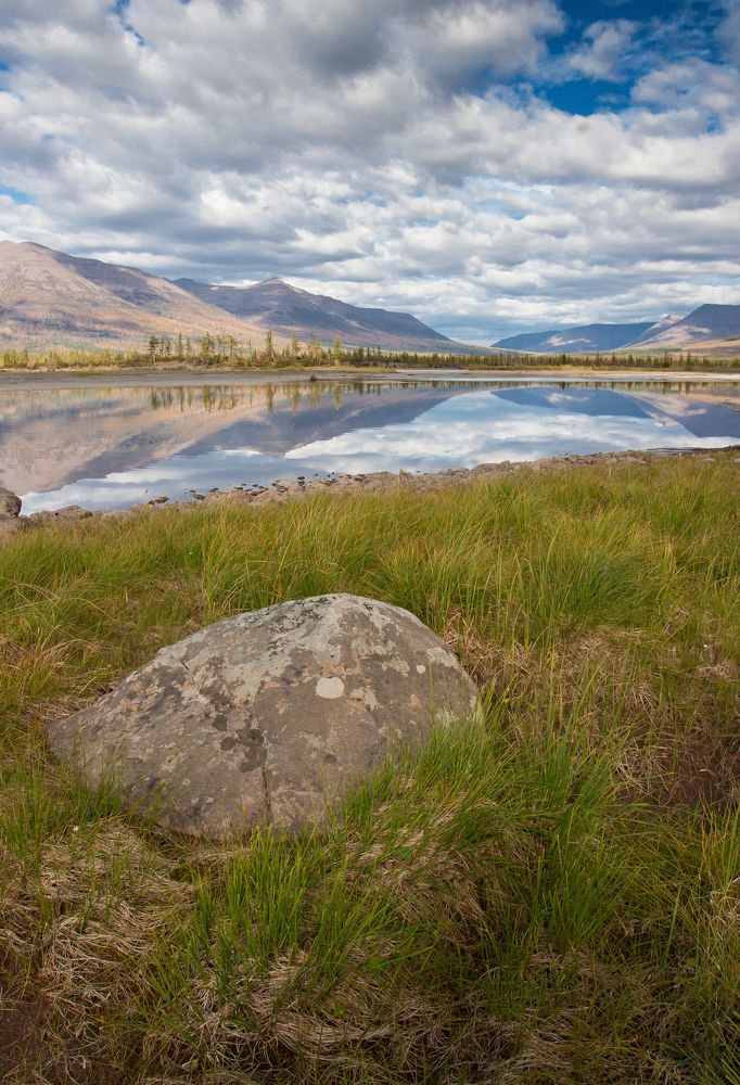 Дикая красота