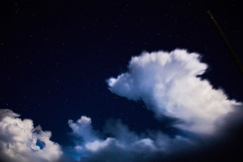 Cloud bear