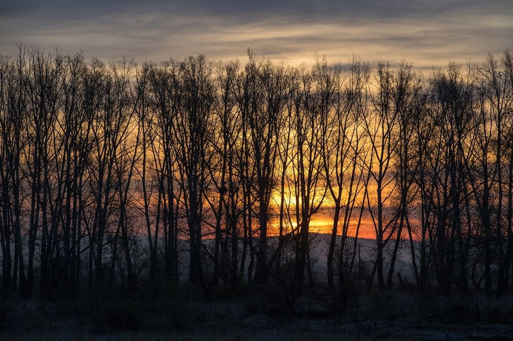 Голая осень