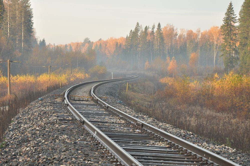 Дорога в осень