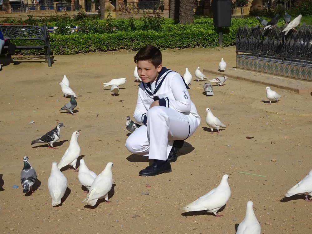 С голубями