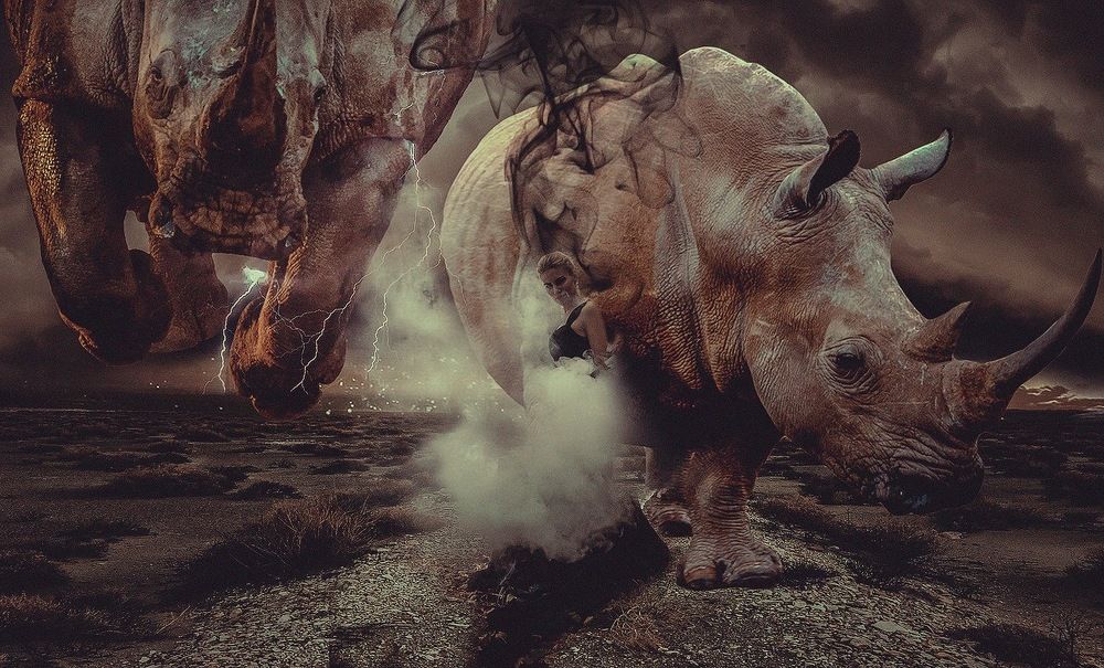 Photograph by Василюк Амалия