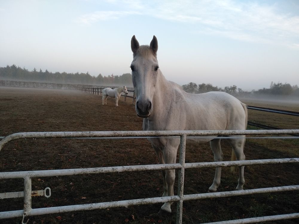 Photograph by Демьян Лопатов