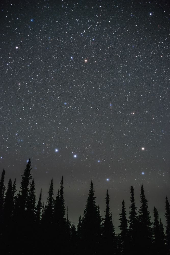 Большая медведица, малая и дракон