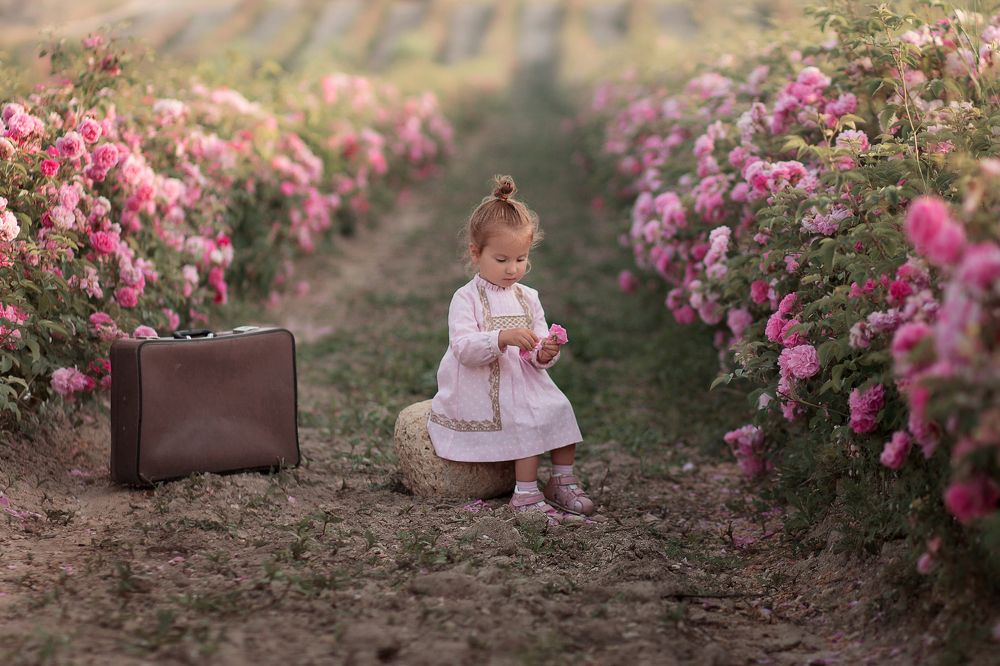 Путешествие