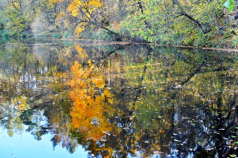 Photograph by Alexey Smal