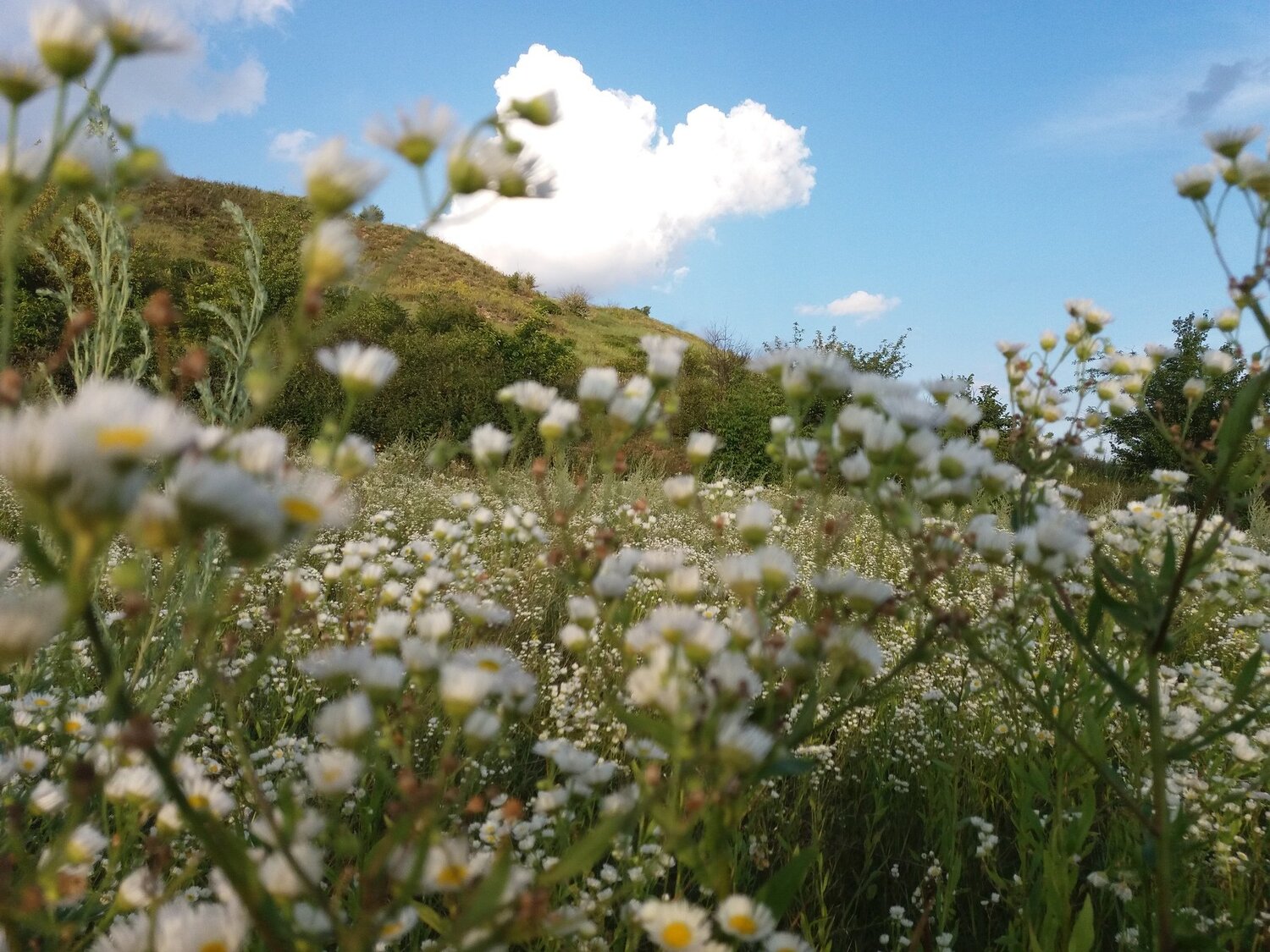 Photo #2654952
