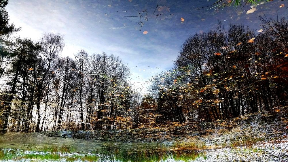 Осенний пейзаж