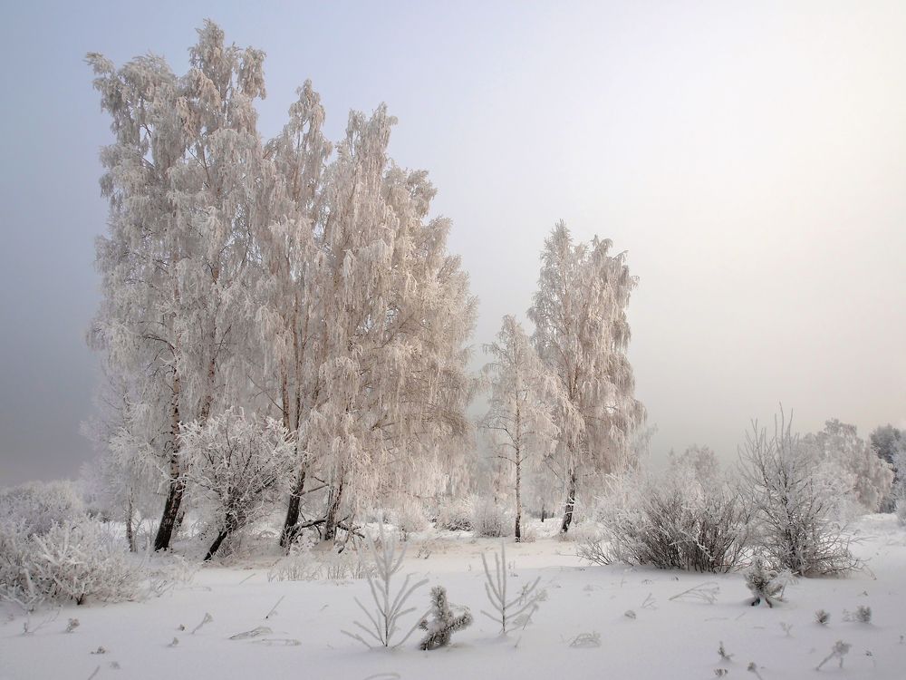 В ожидании солнышка