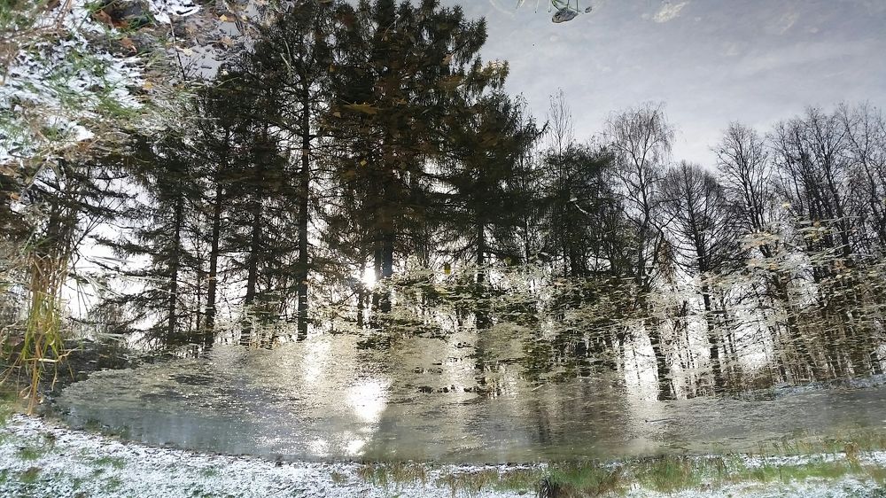 Зеркало осени