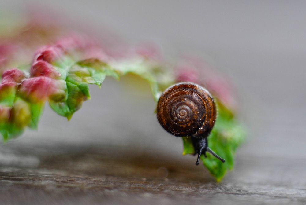 Photograph by Олеся zme