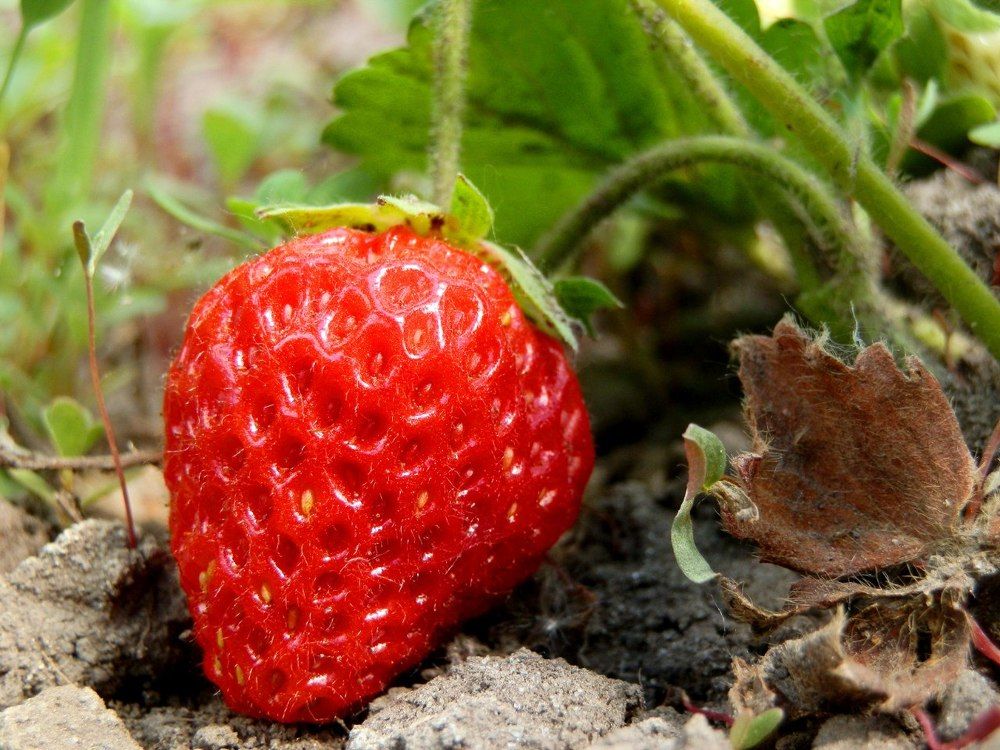 Фотография автора Stanislav Kompaniiets