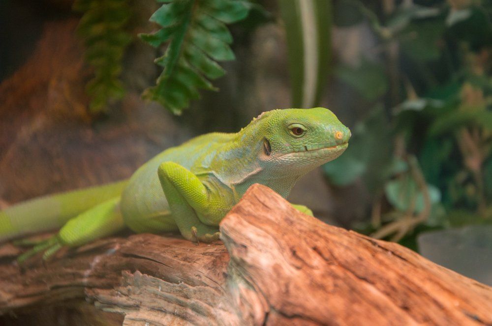 Photograph by Алексей Крукович