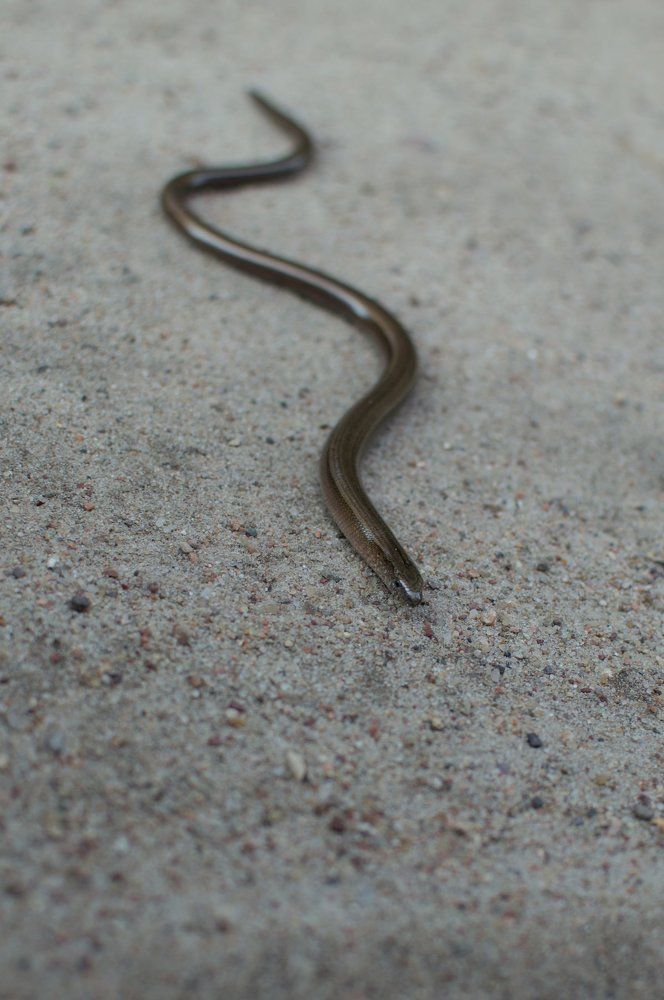 Photograph by Алексей Крукович