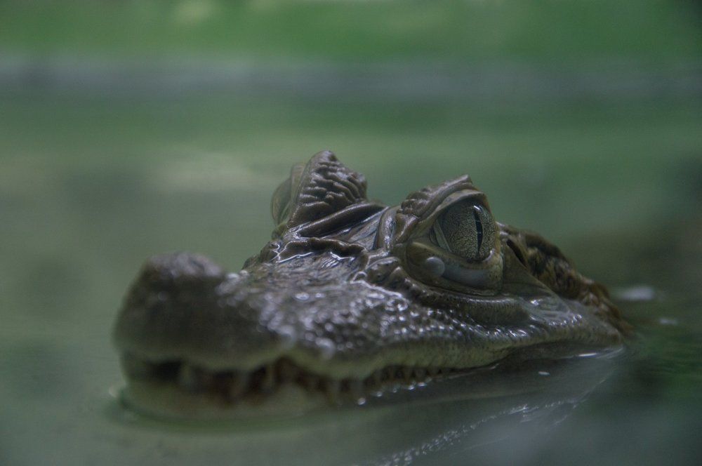 Photograph by Алексей Крукович