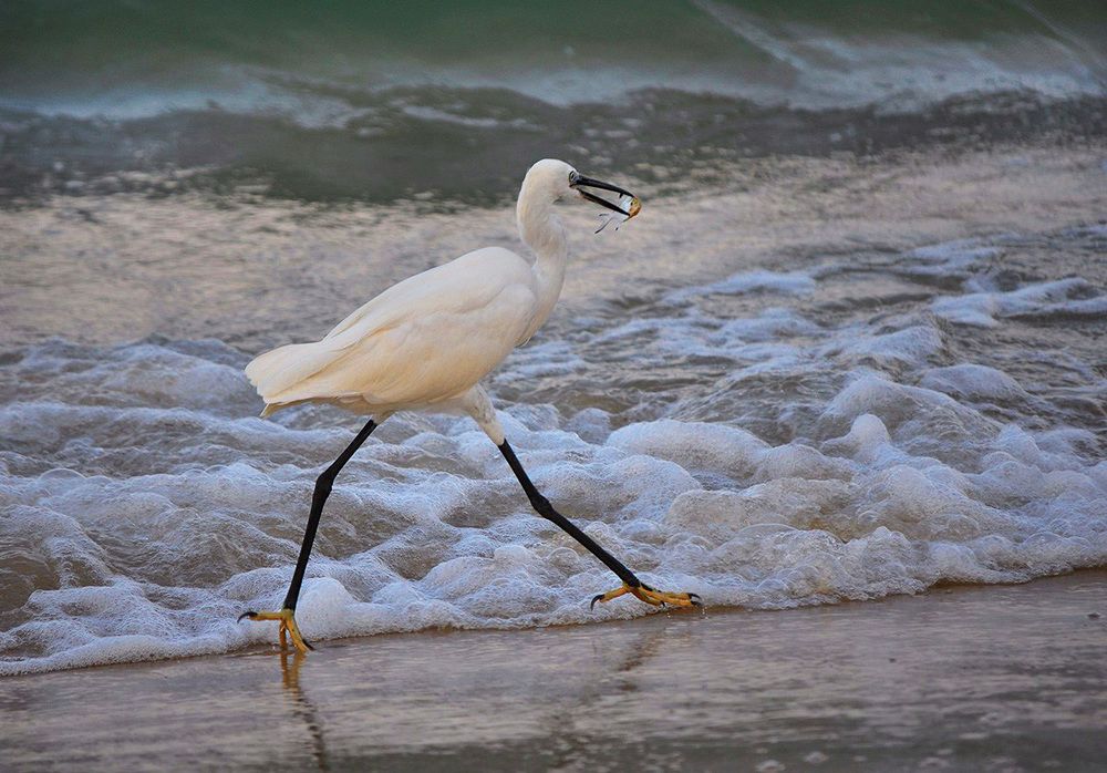 Удачное утро ..