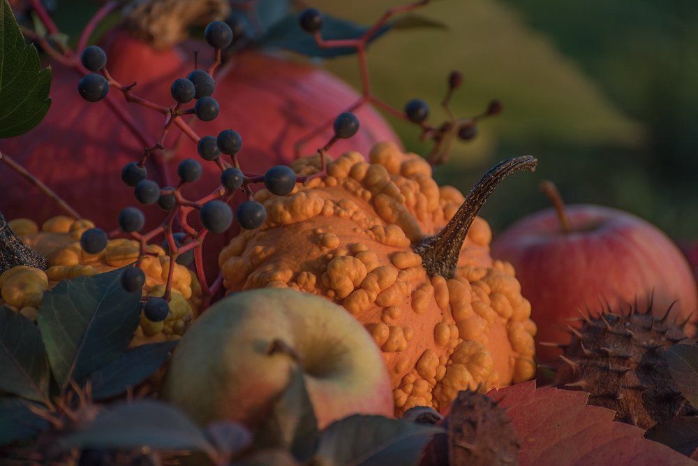 Healthy foods at sunset