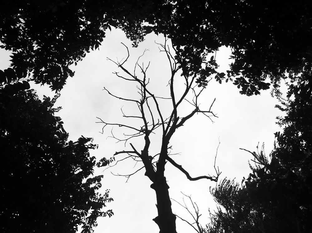 Present from the past