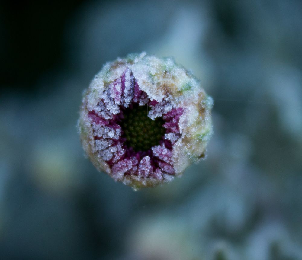 Замерзающая любовь