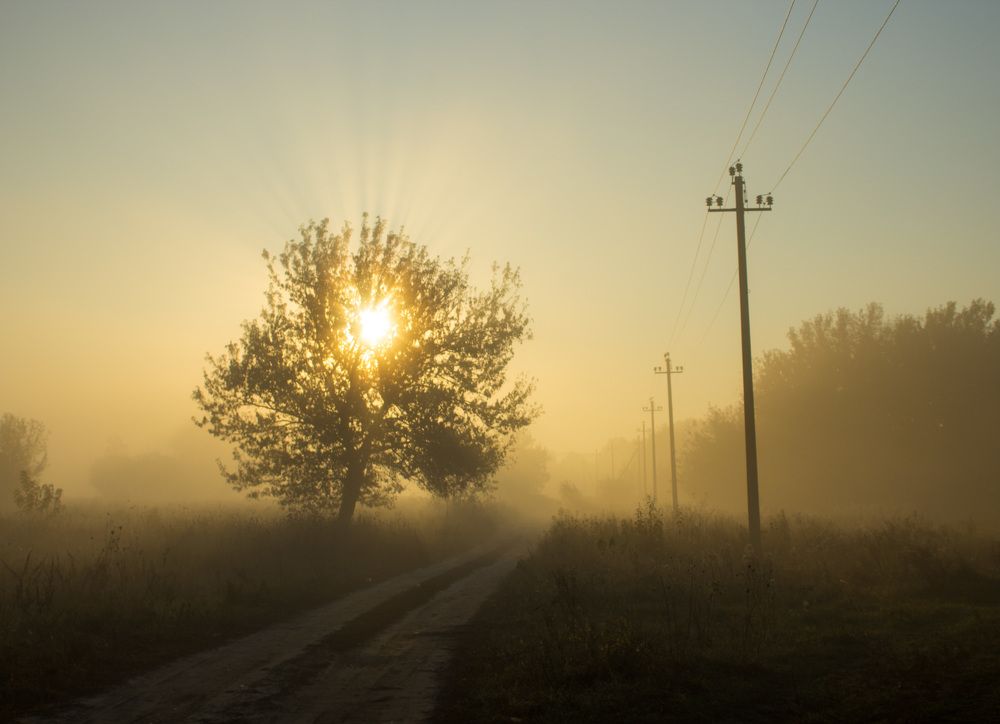На рассвете