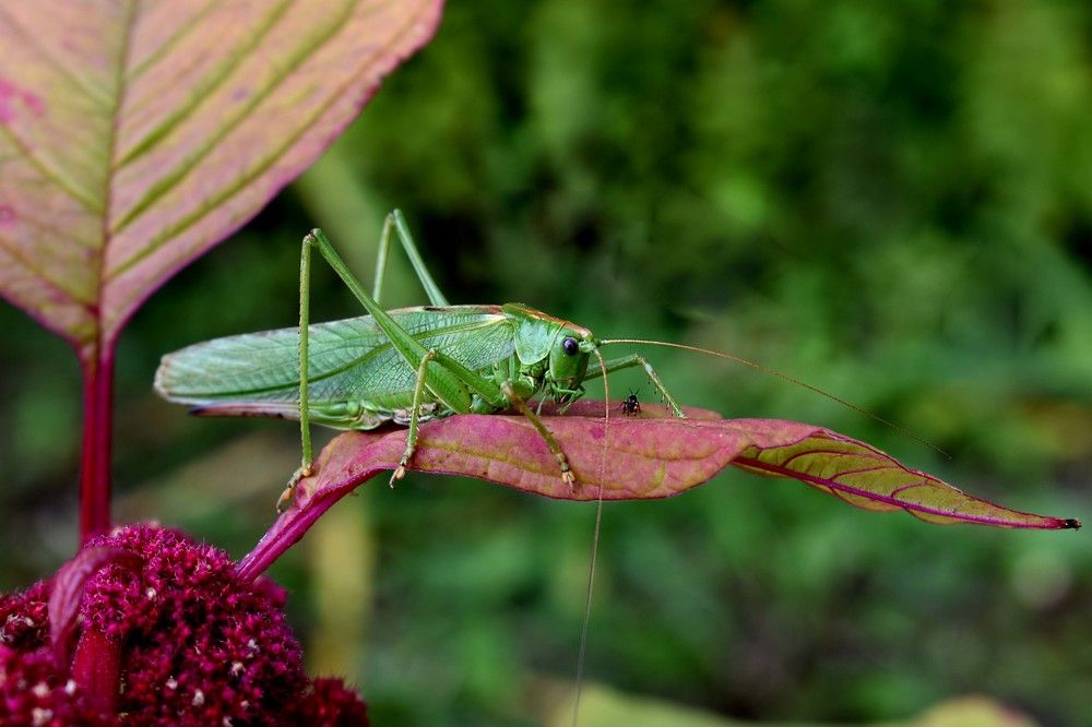 Неожиданная встреча :)