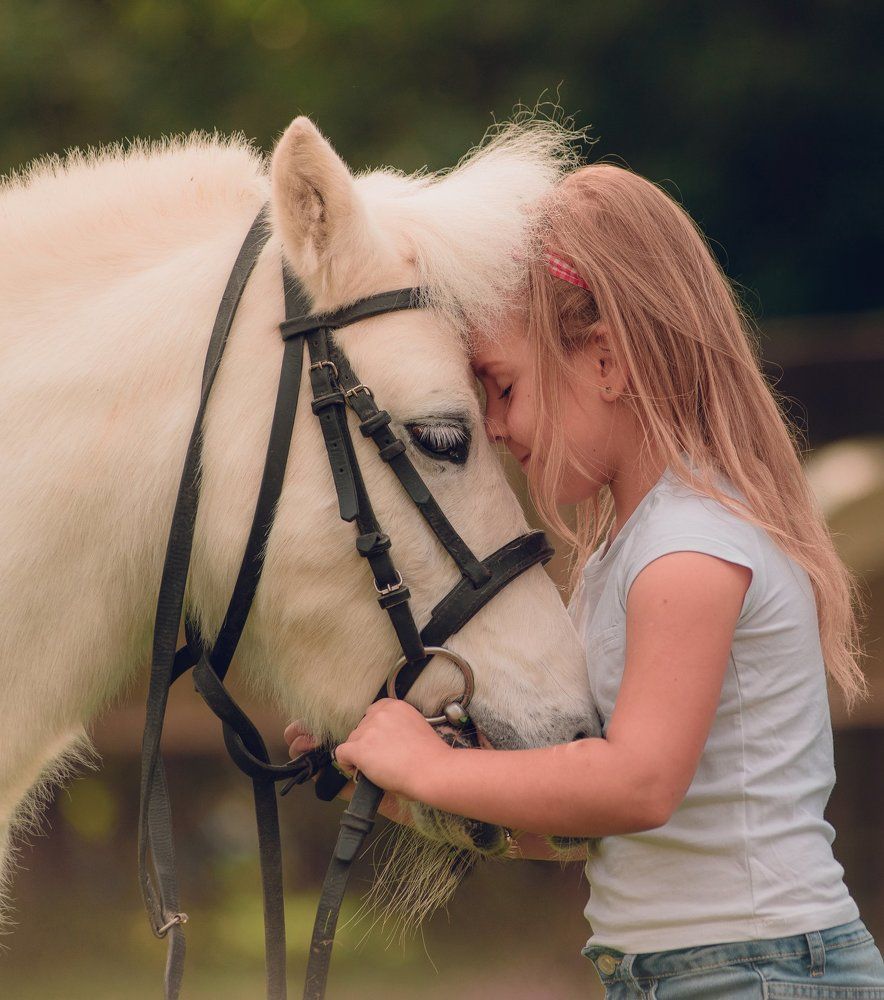 Лучший друг