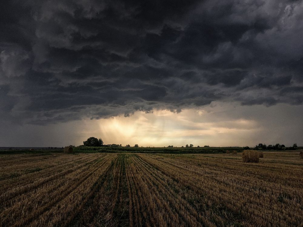 Перед грозой