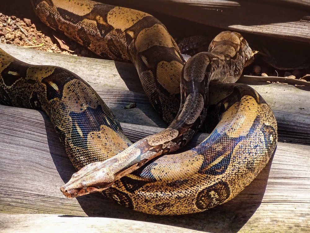 Warming up in the sun