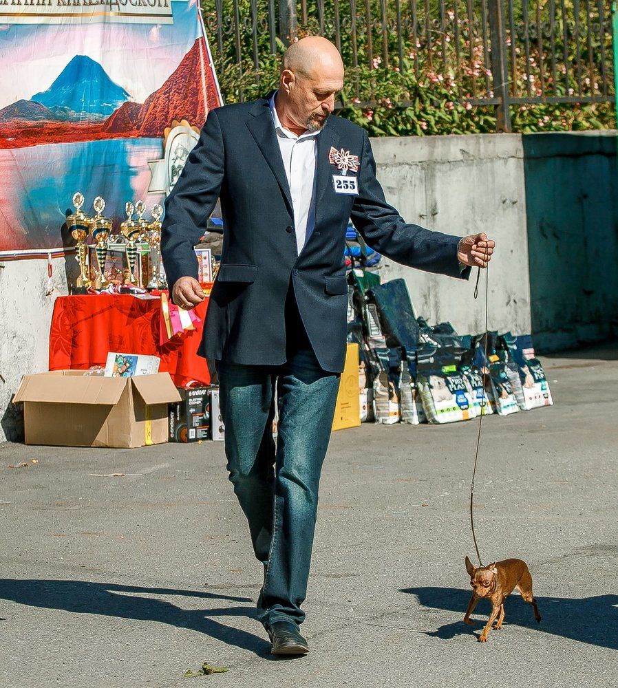 Собака - друг человека