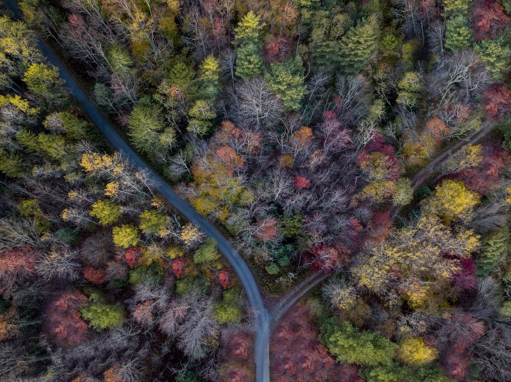 Roads to nowhere are always beautiful