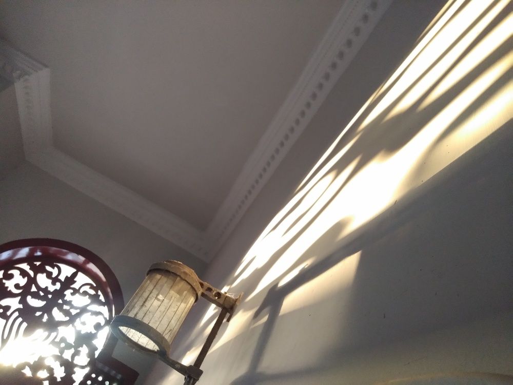 Sunlight