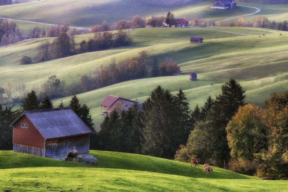 Швейцарская идиллия