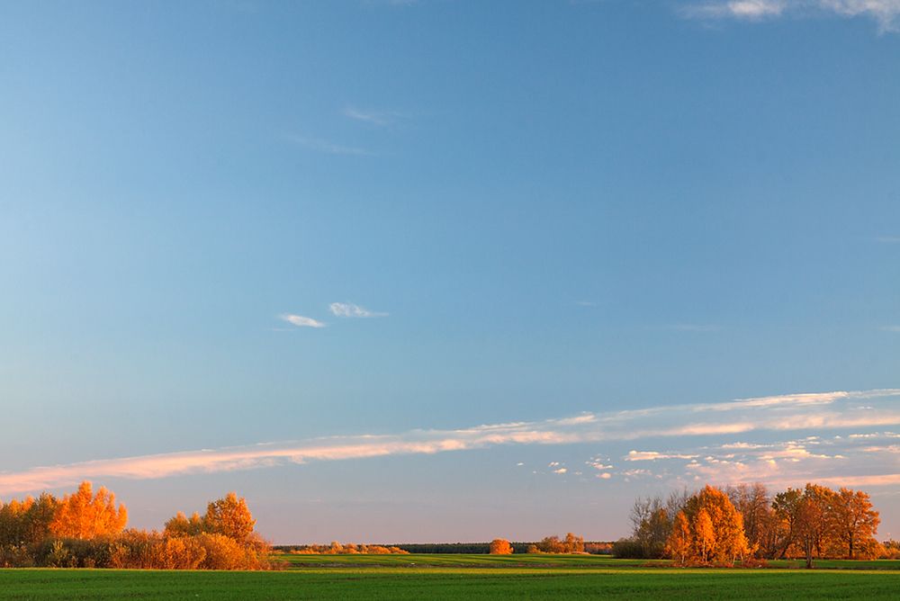 Подними глаза