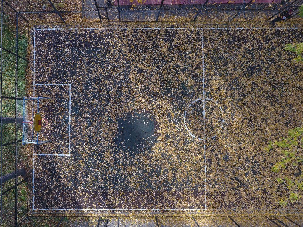 Осенний старт