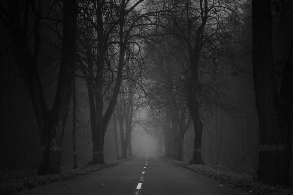 road in the fog