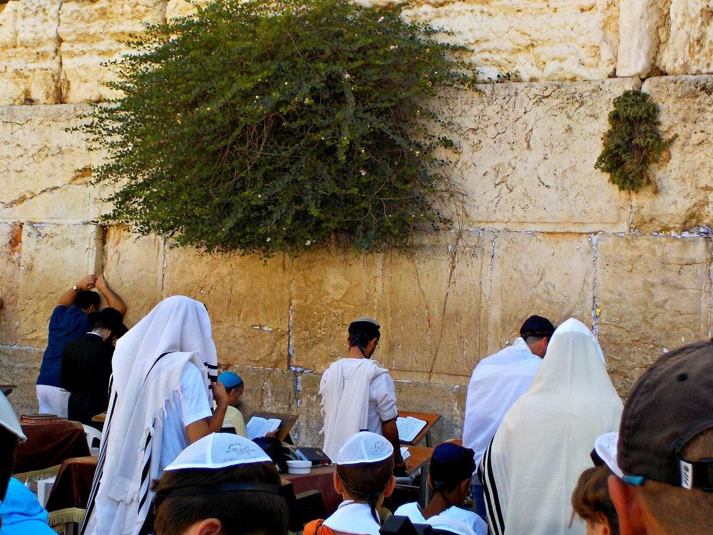 Сердце Святой Земли