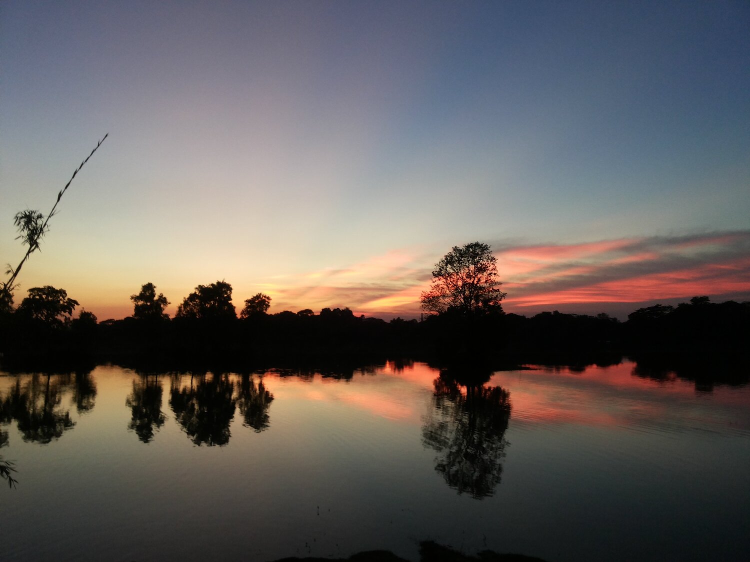 Natural Mirror