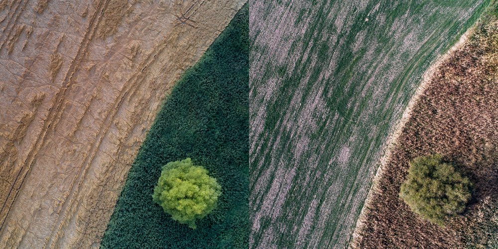 green way through the time