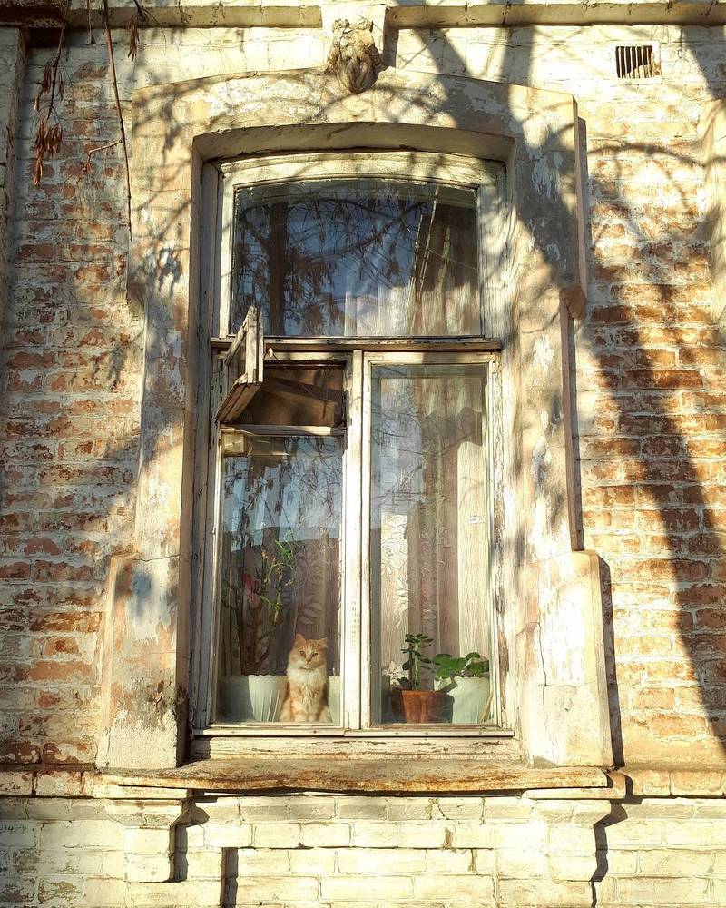 Состояние осени