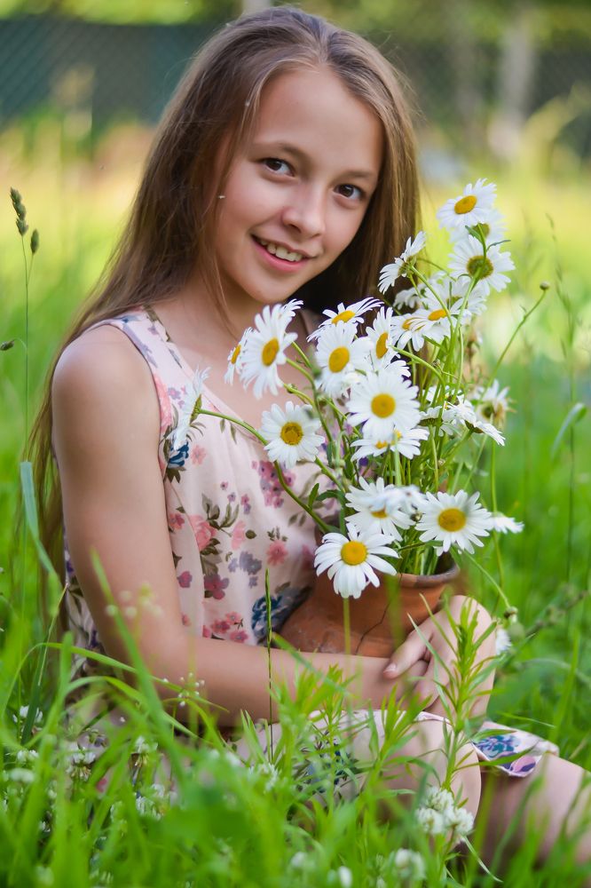Ромашки