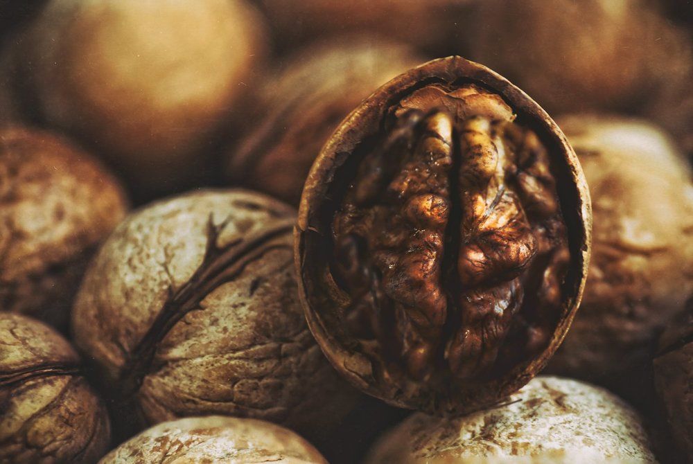 Photograph by Тараненко Анжелика