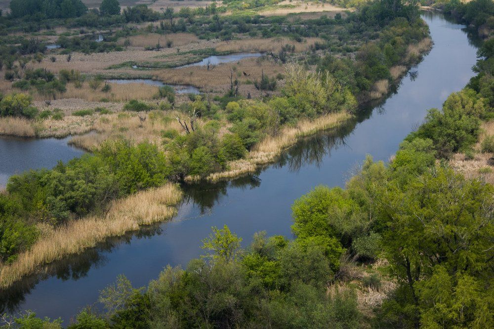 Photograph by Predrag Kostin