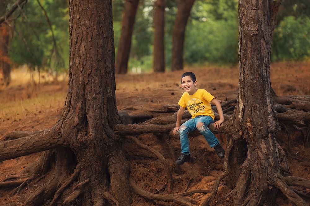 Лесные истории