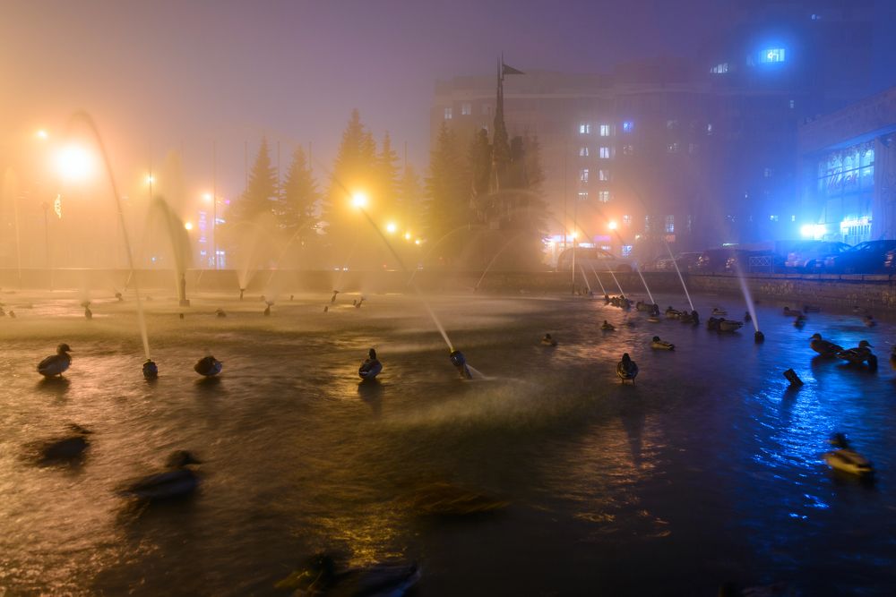 Бледный огонь