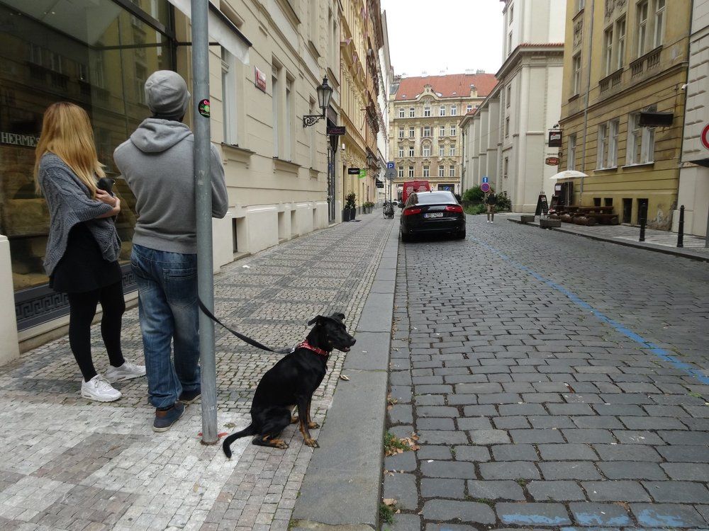 На улочках Праги