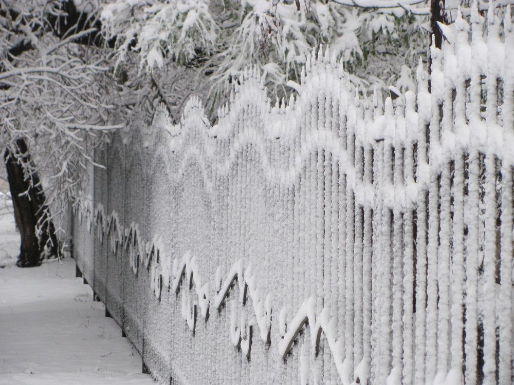 Первый снег