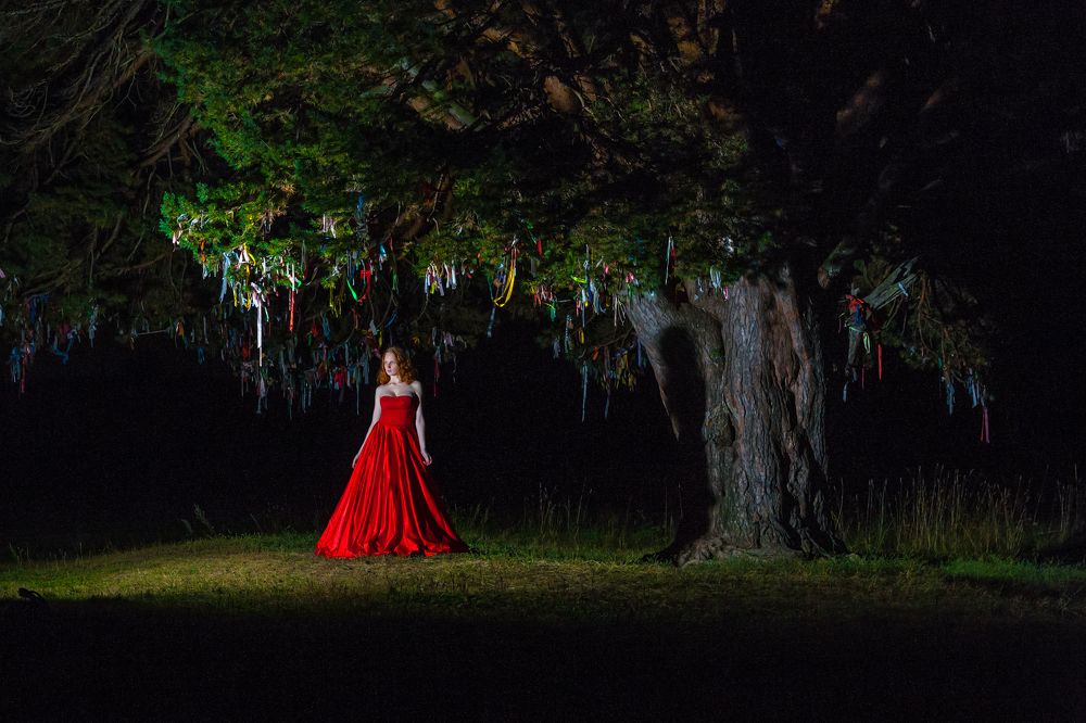 На островке света